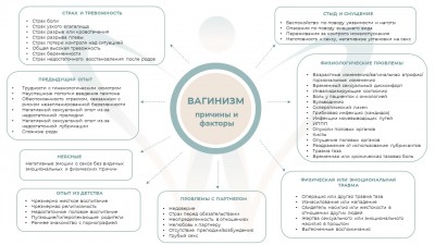 Причины вагинизма будущий рисунок.jpg