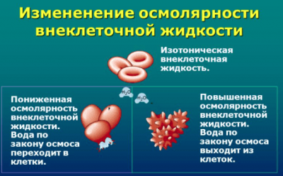 Снимок-экрана-2018-01-06-в-18.22.32.png
